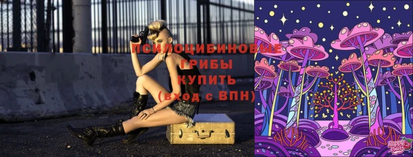 крисы Аркадак