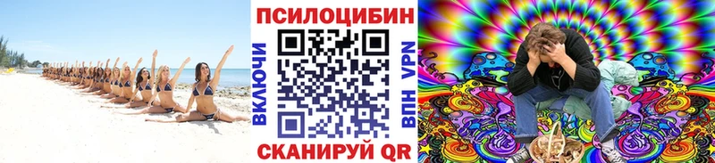 Псилоцибиновые грибы прущие грибы  Брянск 